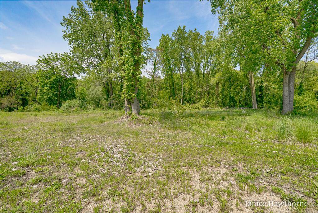 Prairieville Twp, MI 49060,VL S M43 Highway