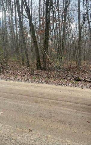 Montcalm Twp, MI 48888,Lot 3 Pakes Road