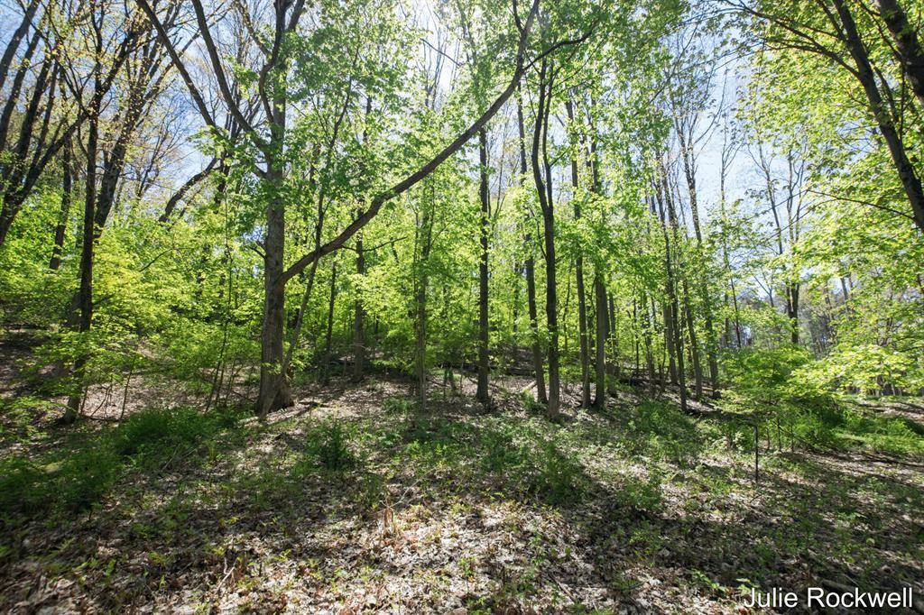 Ada Twp, MI 49301,6050 Grand River Drive NE