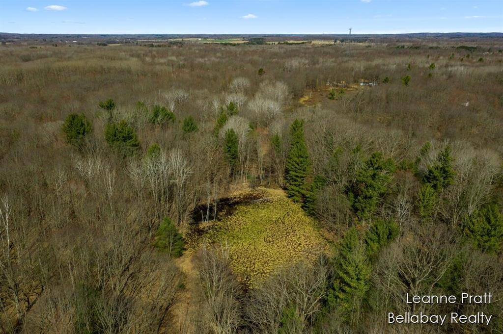 Sherman Twp, MI 48893,VL W Weidman Road