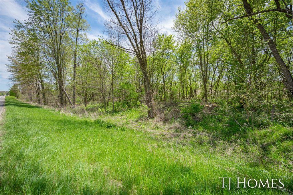 Hastings Twp, MI 49058,E M-79 Highway