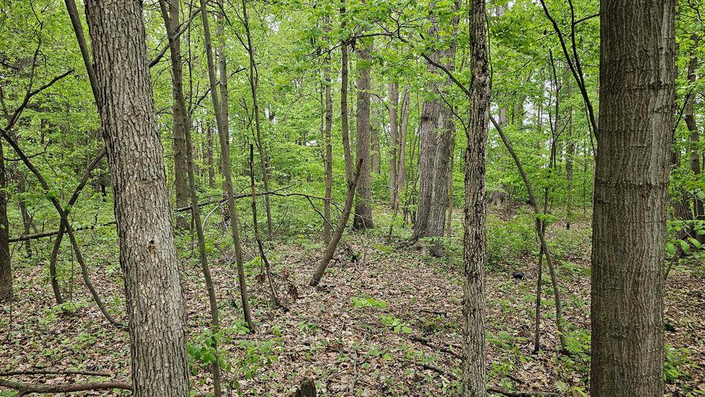 Robinson Twp, MI 49460,11158 Worley Dam Rd