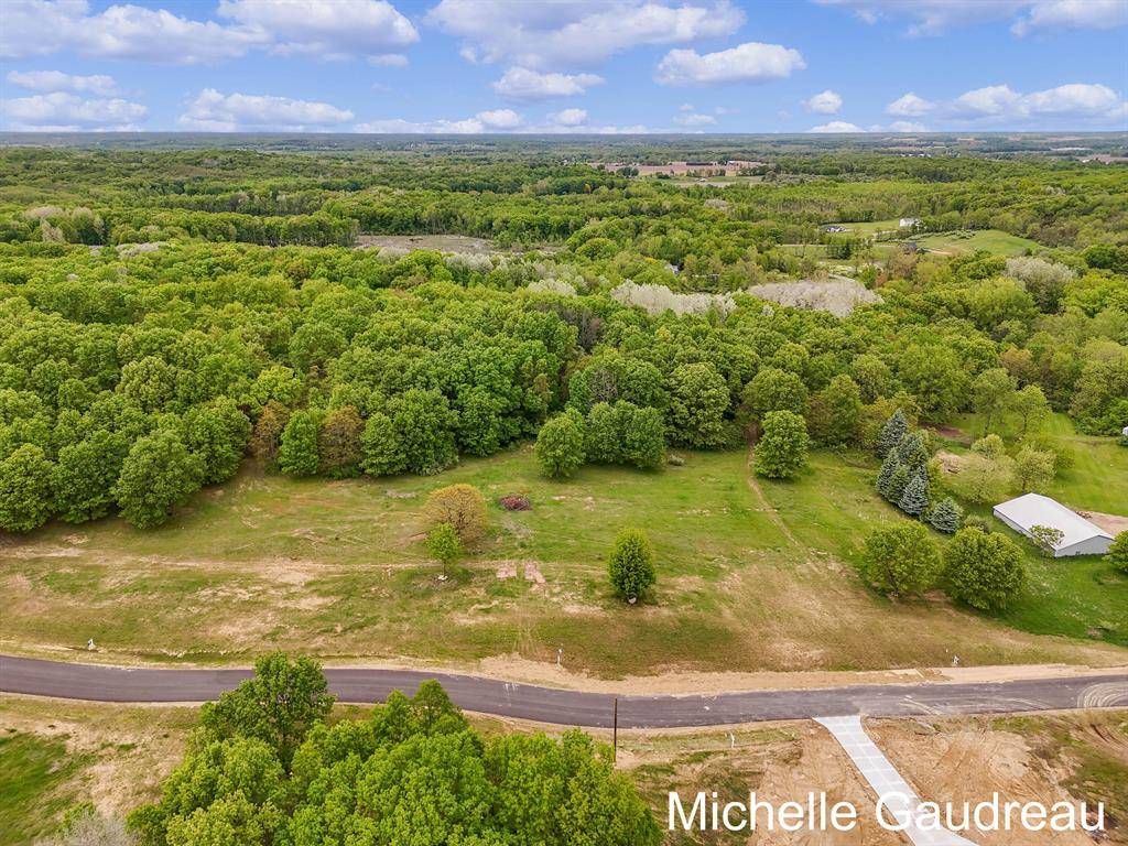 Irving Twp, MI 49325,Parcel 10 Leaf Lane