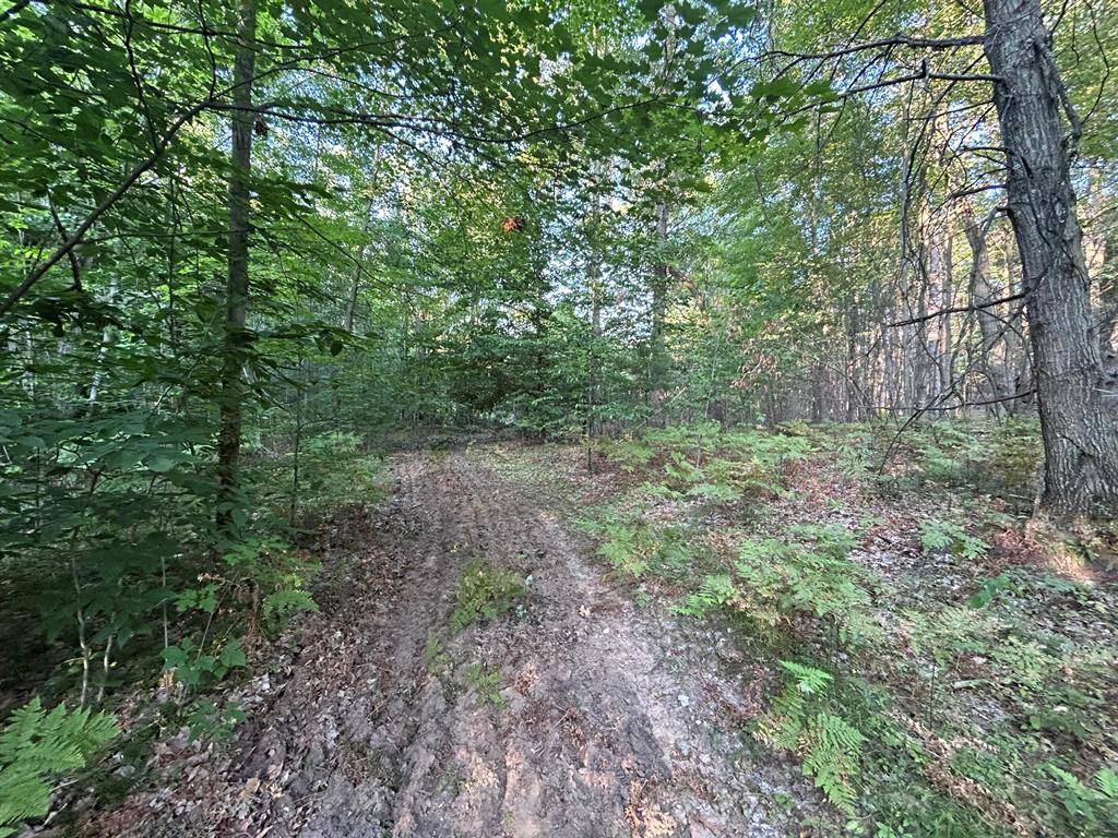 Pierson Twp, MI 49339,22903 Waterwheel Drive