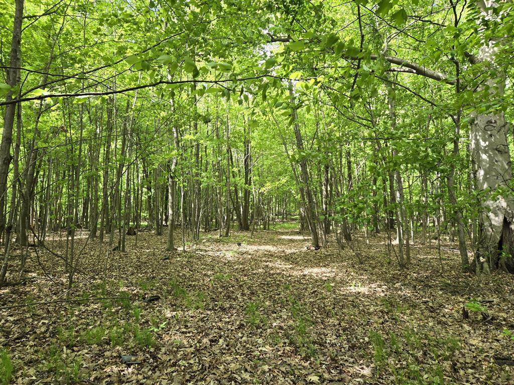 Sidney Twp, MI 48838,4500 W Wise Road