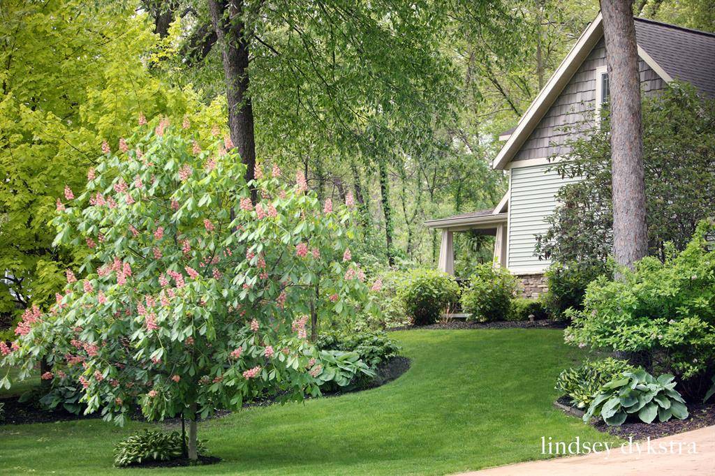 Courtland Twp, MI 49341,8501 Camelot Drive NE