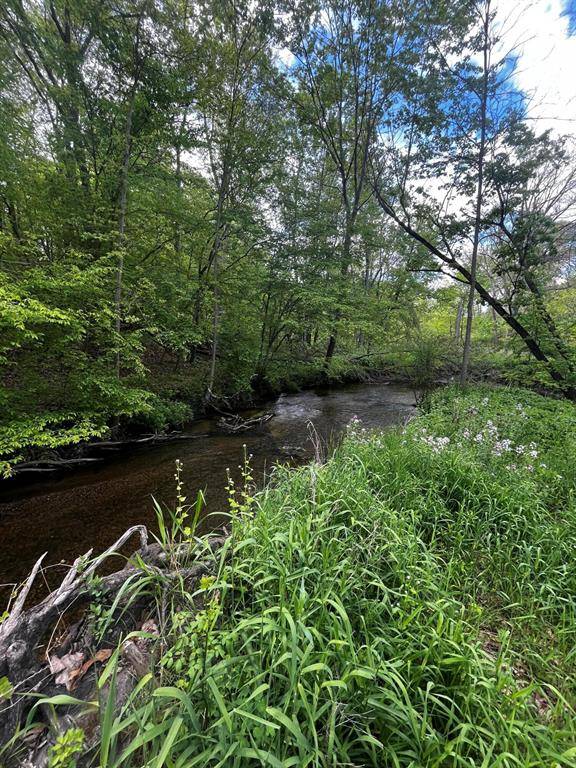 Boston Twp, MI 48881,5650 Morrison Lake Road