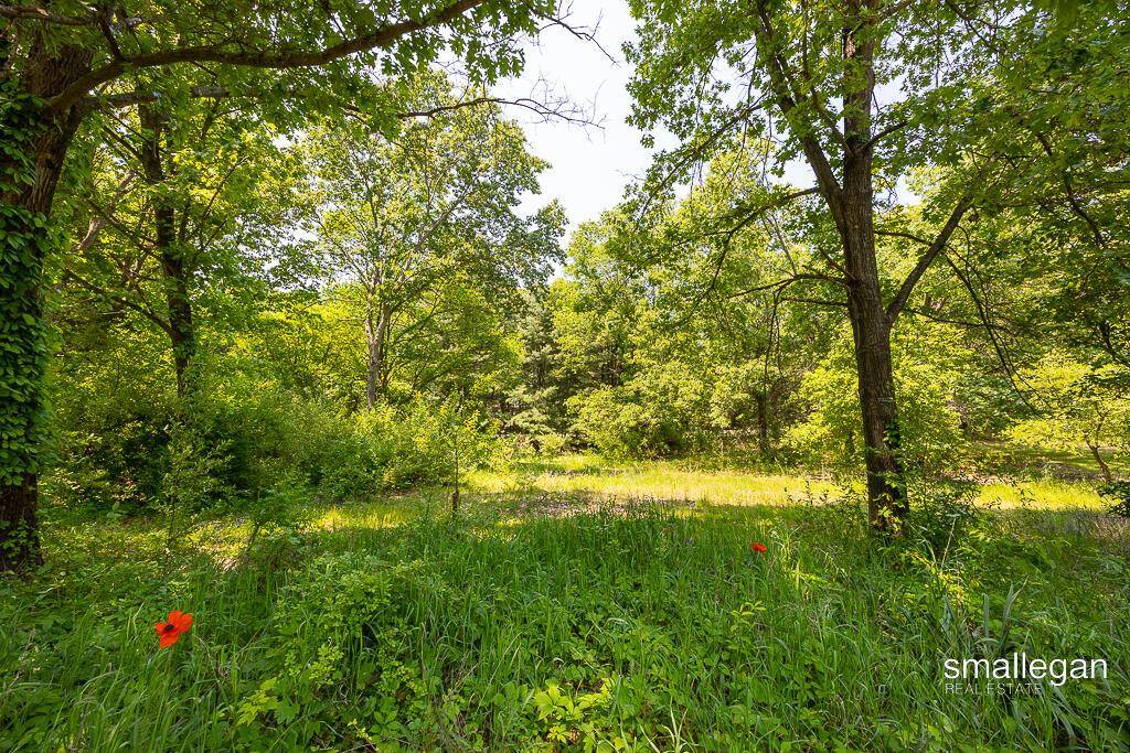 Oakfield Twp, MI 48838,13390 STACEY Street NE