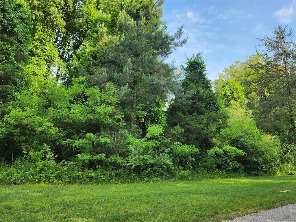 Caledonia Twp, MI 49302,6591 Phoenix Court SE