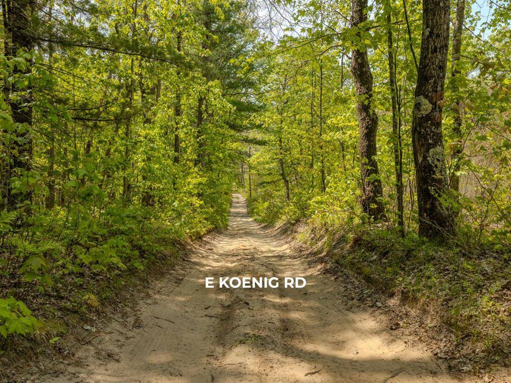 Meade Twp, MI 49411,V/L E Koenig Road
