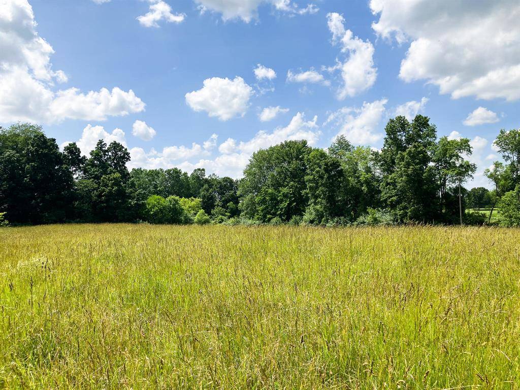 Caledonia Twp, MI 49302,9250 92nd Street SE