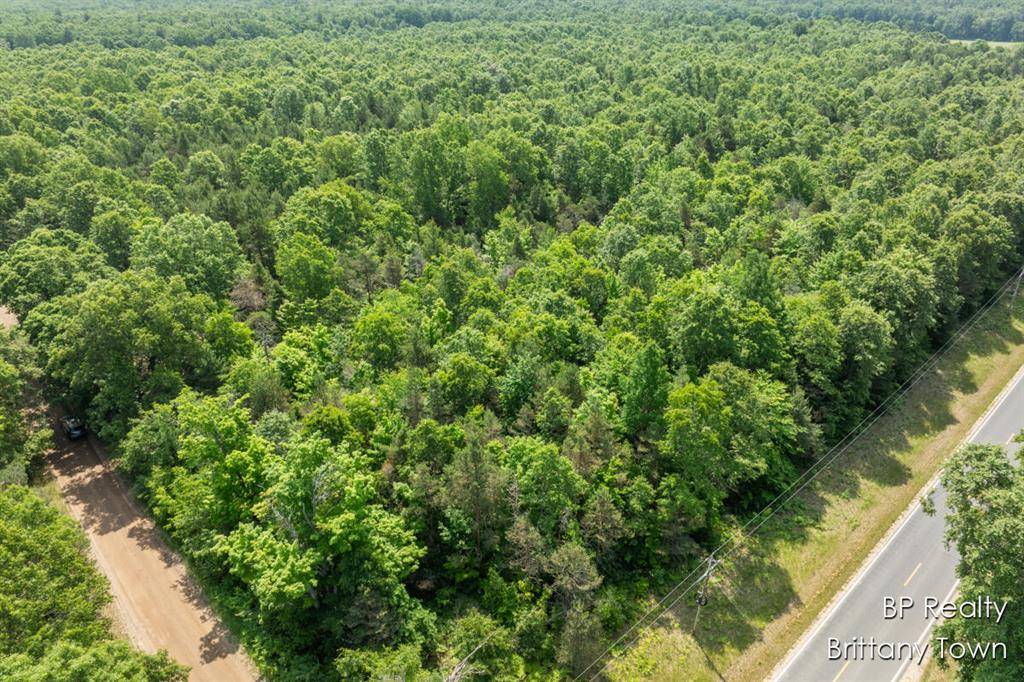Grant Twp, MI 49437,Parcel 8 S 72nd Avenue