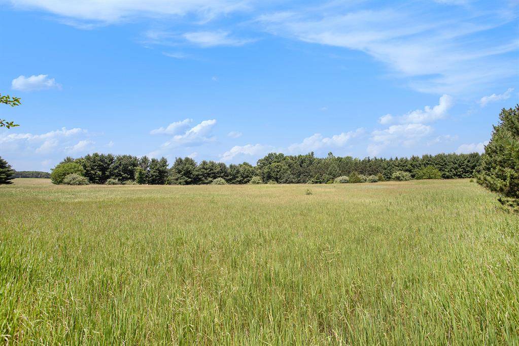 Mendon Twp, MI 49072,VL M-66