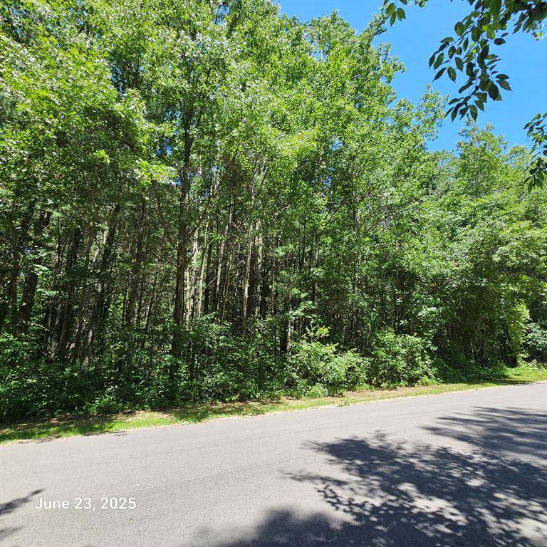 Mecosta Twp, MI 49307,19843 Heights Circle Drive