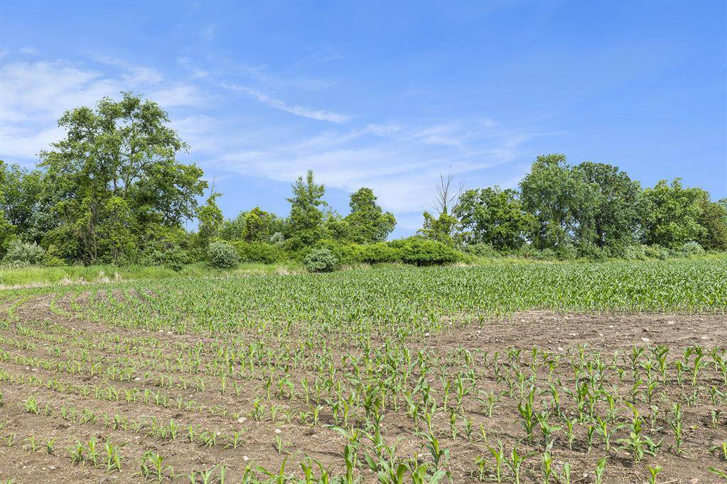 Washington Twp, MI 48806,9820 S Bagley Road