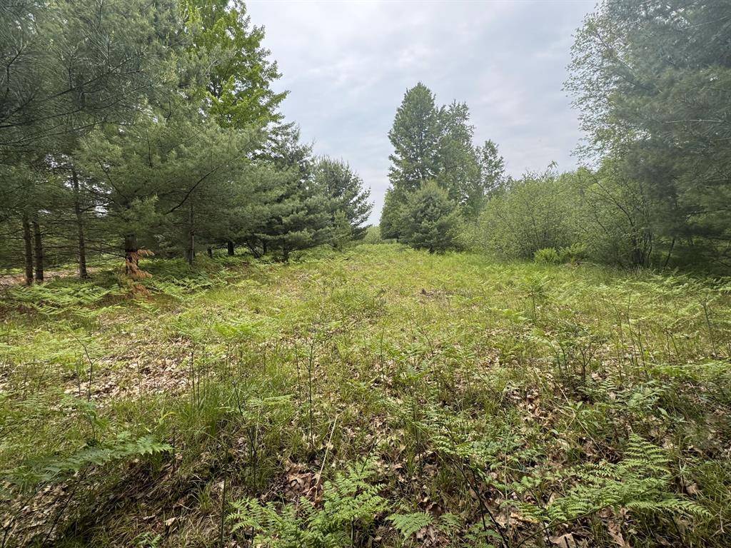 Stanwood Vlg-mecosta Twp, MI 49346,6336 Cedar TerraceE