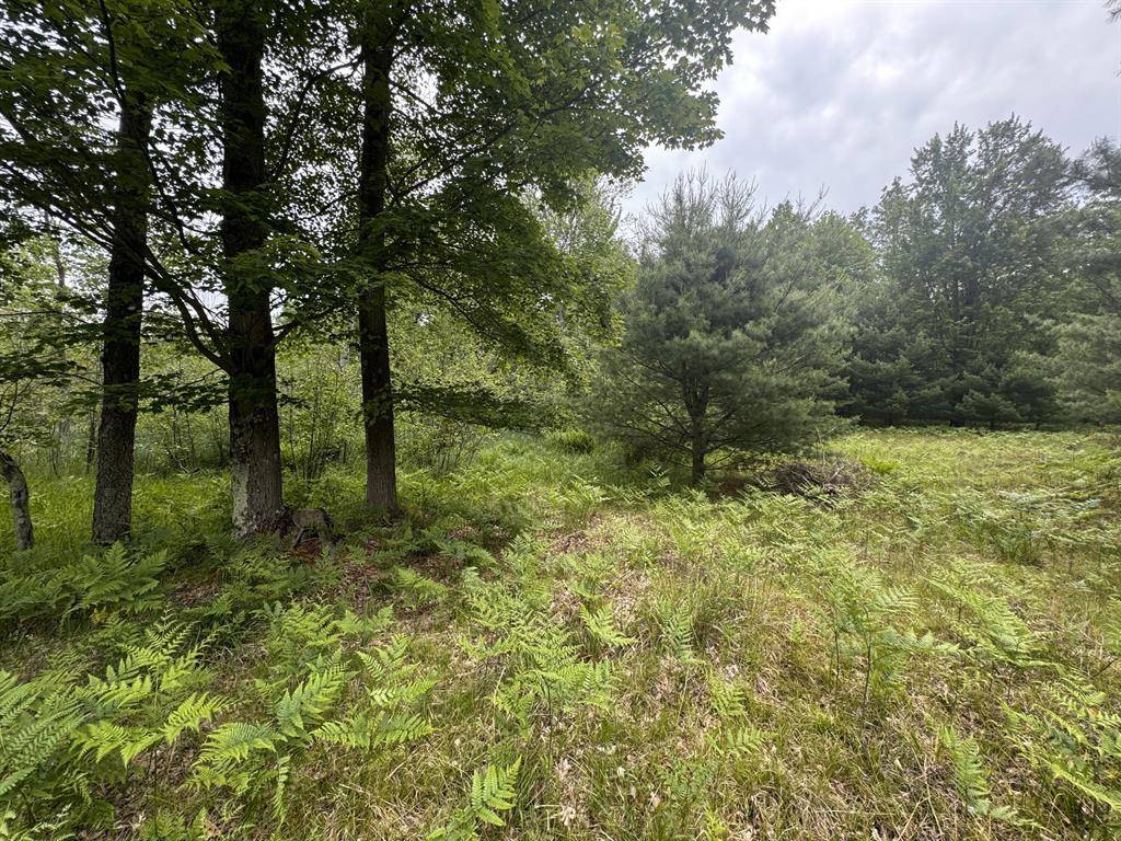 Stanwood Vlg-mecosta Twp, MI 49346,6336 Cedar TerraceE