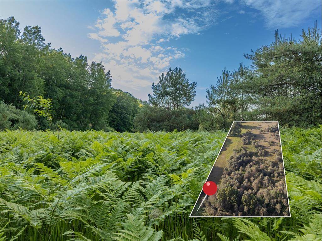 Otto Twp, MI 49452,Lot 4 E Arthur Road
