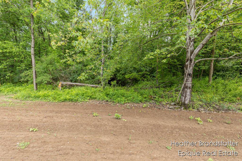 Ada Twp, MI 49301,4225 Wilden Ridge Drive NE