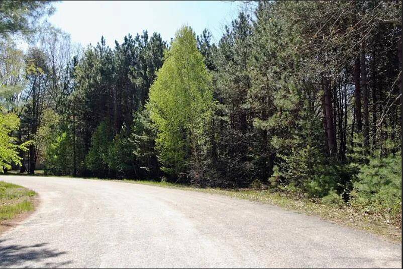 Morton Twp, MI 49332,9113 Forest Pines Drive