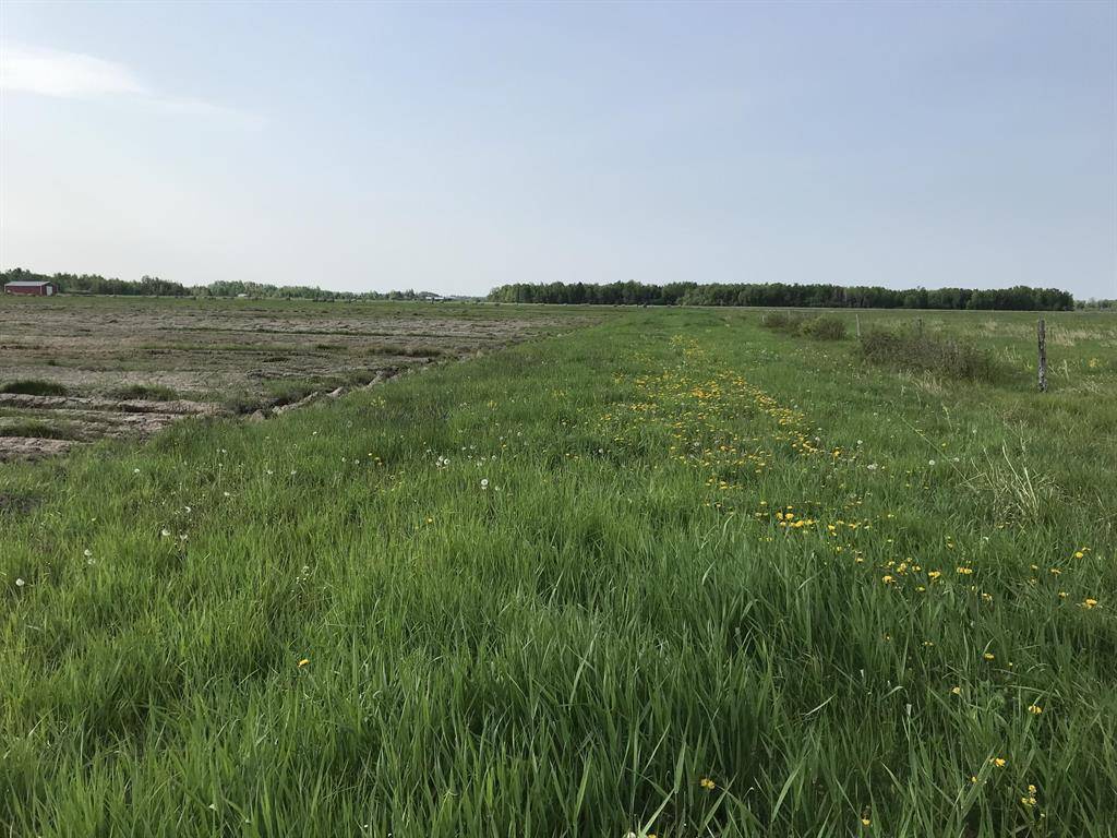 Bruce Twp, MI 49783,Parcel B E 7 Mile RD