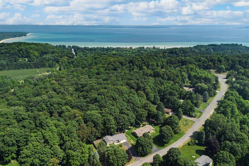 Bingham Twp, MI 49682,4291 S Scenic View Drive