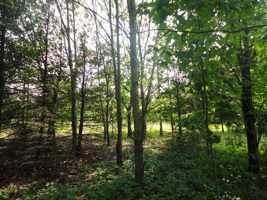 Columbia Twp, MI 49056,parcel A CR 215