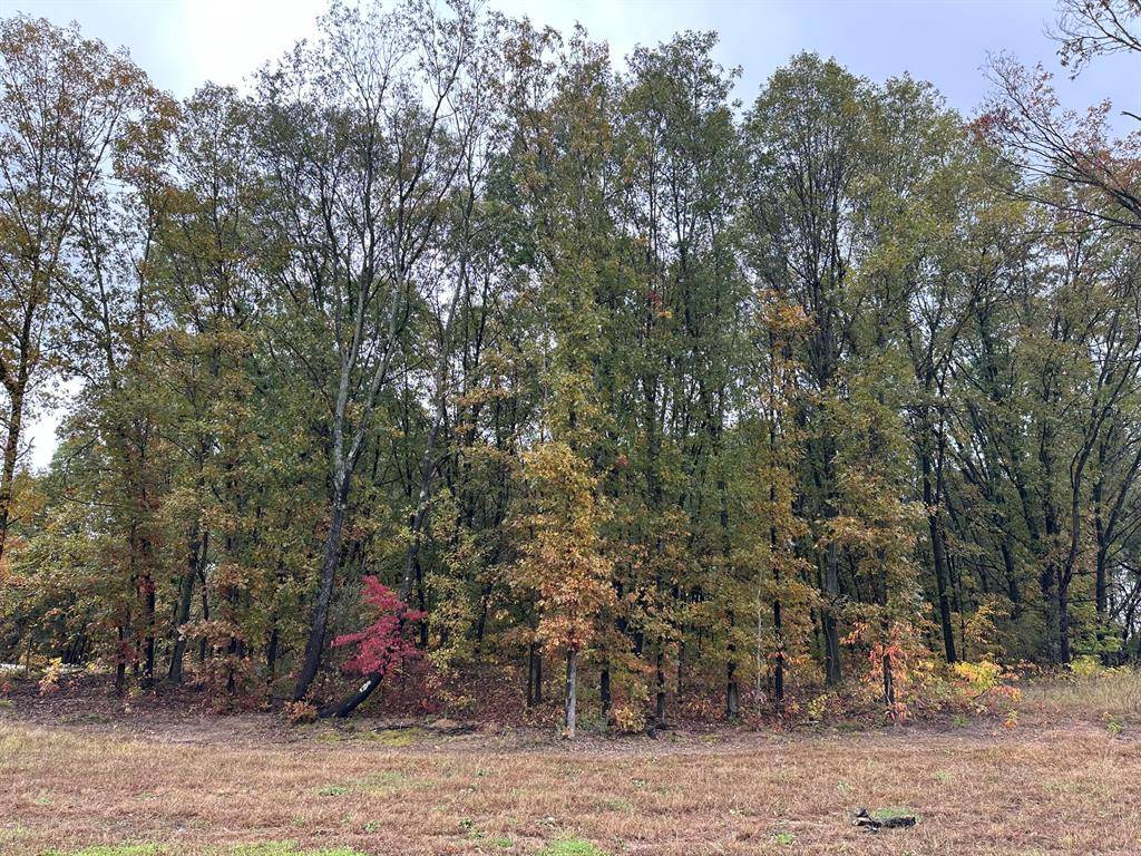 Texas Twp, MI 49009,8370 Scots Pine Circle
