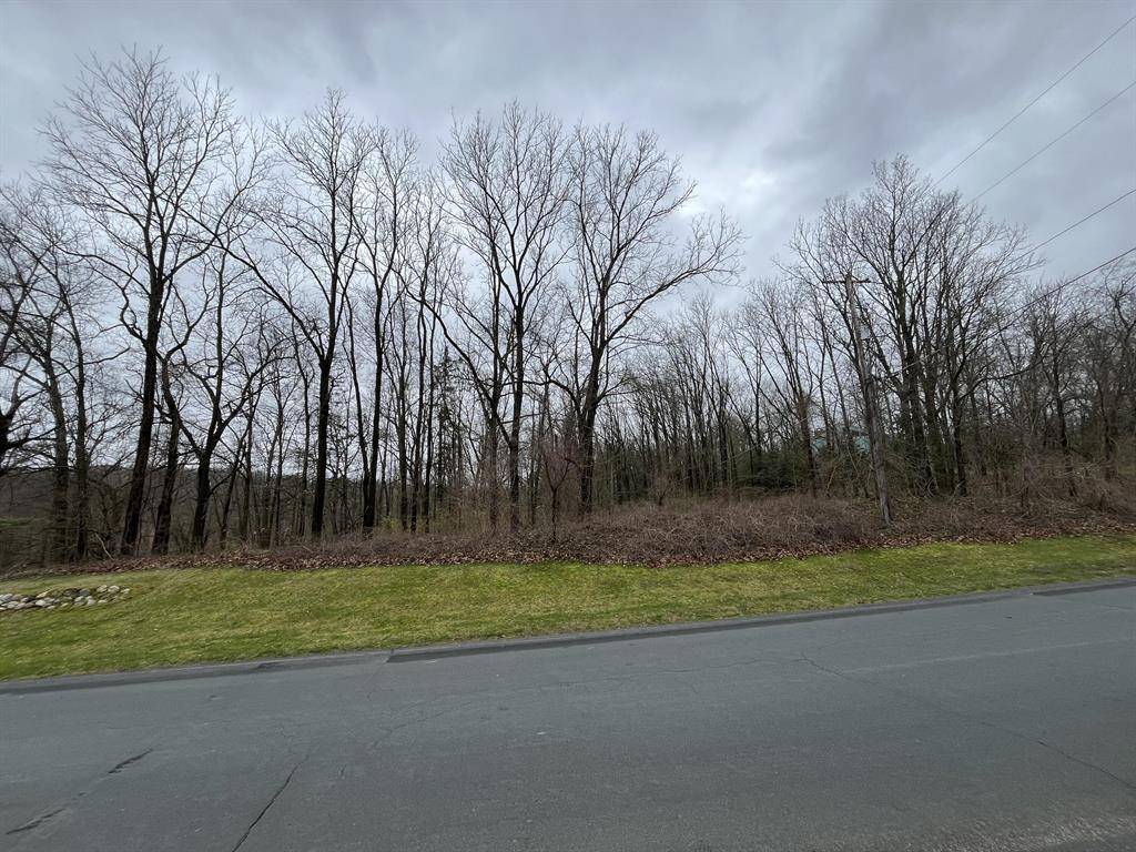 Texas Twp, MI 49009,7031 Glade Trail