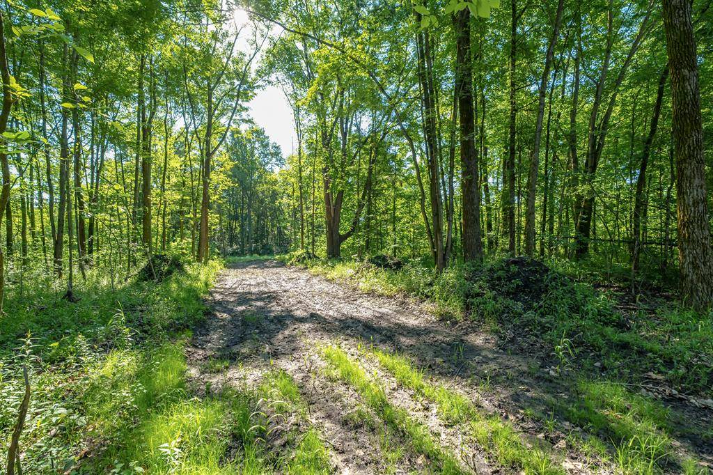 Arlington Twp, MI 49013,27248 Park Lane