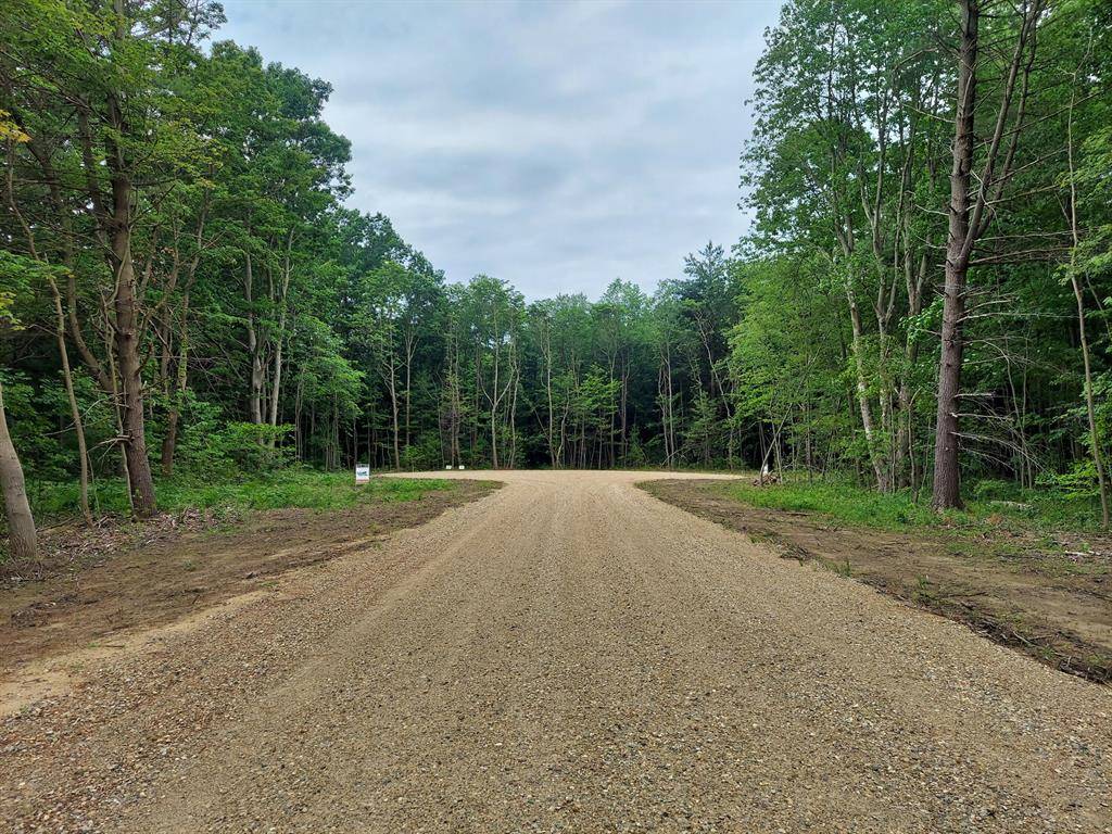 South Haven Twp, MI 49090,19118 77th Street