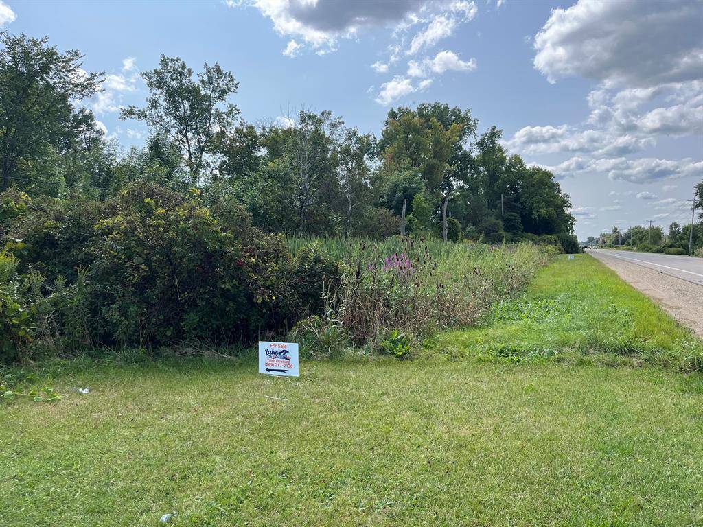 Wayne Twp, MI 49047,9 acres M 51