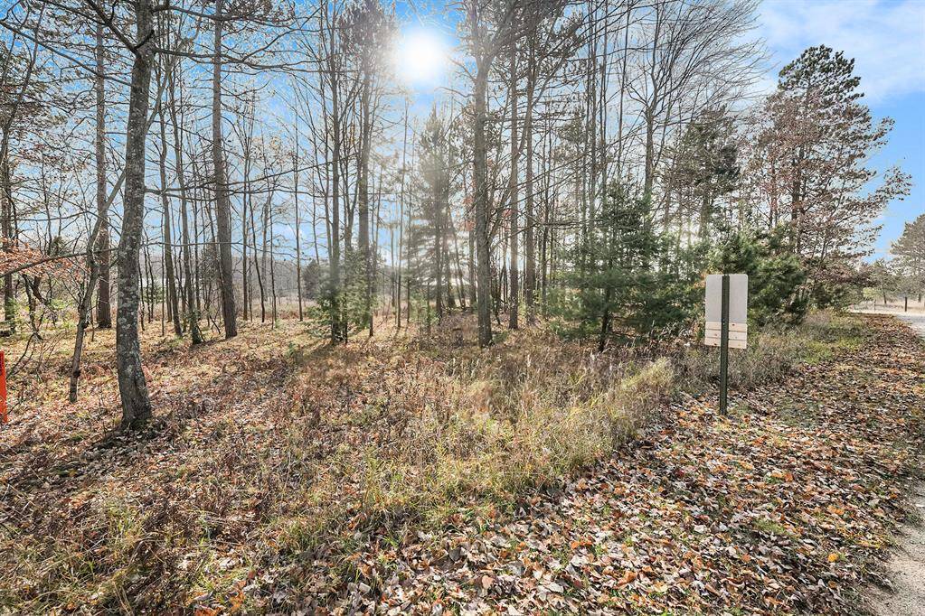 Austin Twp, MI 49346,12215 Lila Court