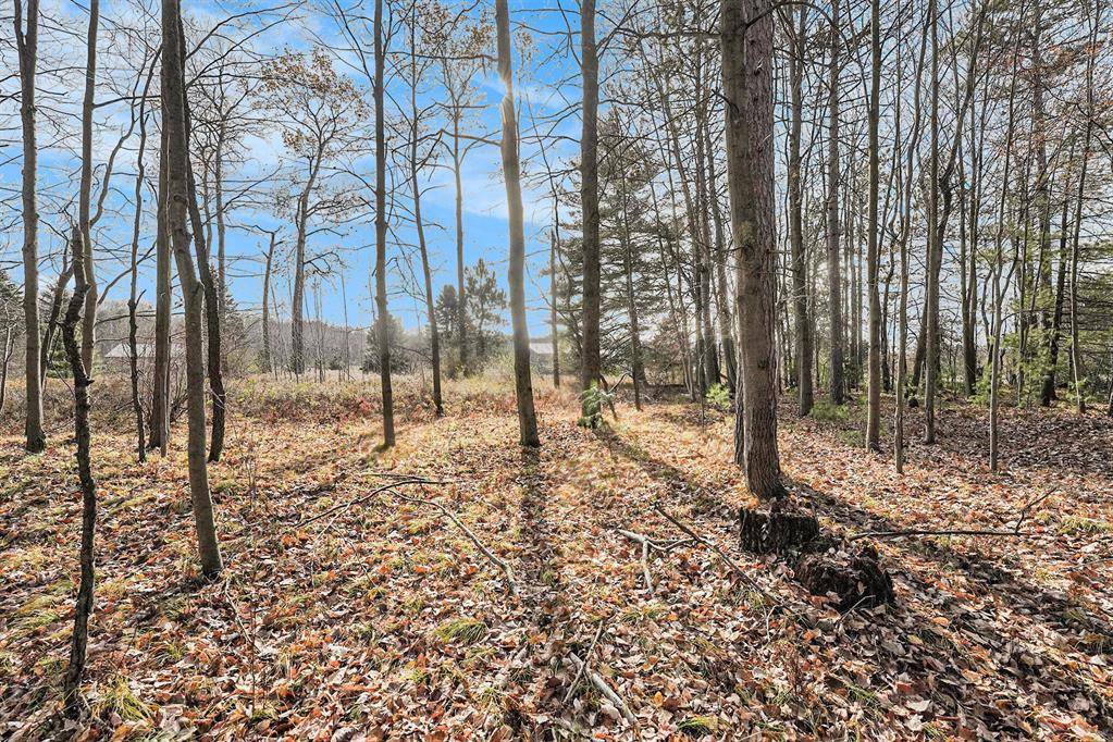 Austin Twp, MI 49346,12215 Lila Court