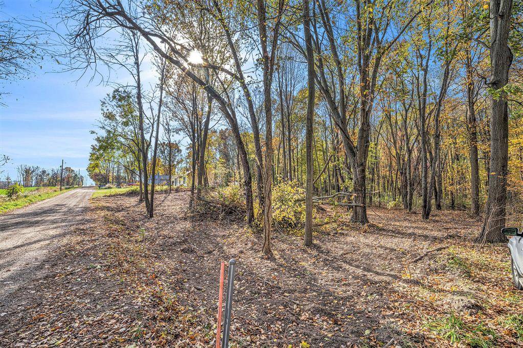 Paw Paw Twp, MI 49079,Palmer Drive
