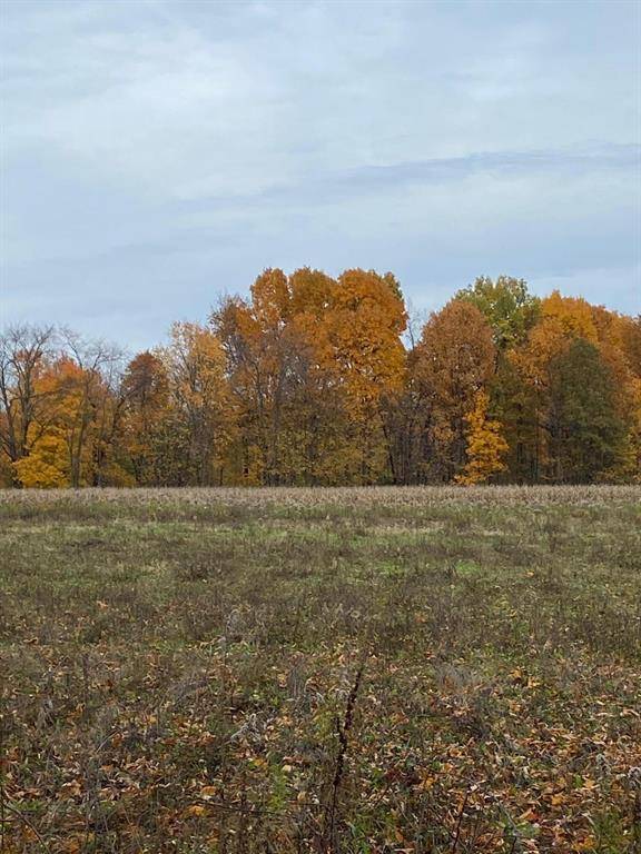 Pavilion Twp, MI 49088,8699 S 29th Street