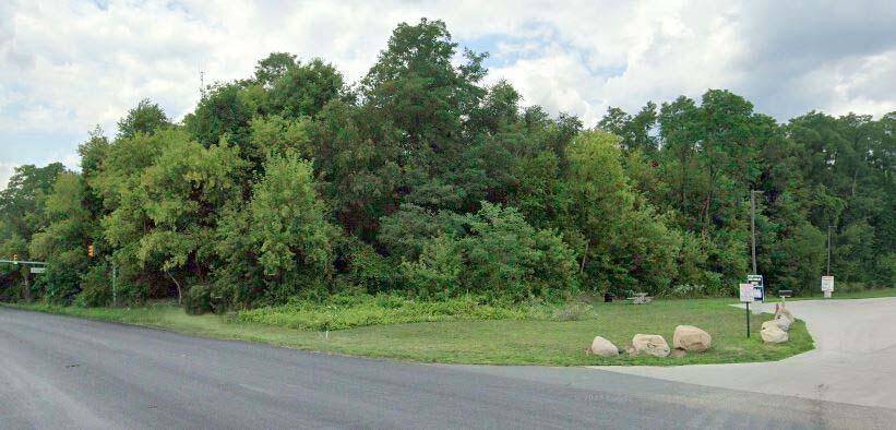 Alamo Twp, MI 49009,W D Avenue VL