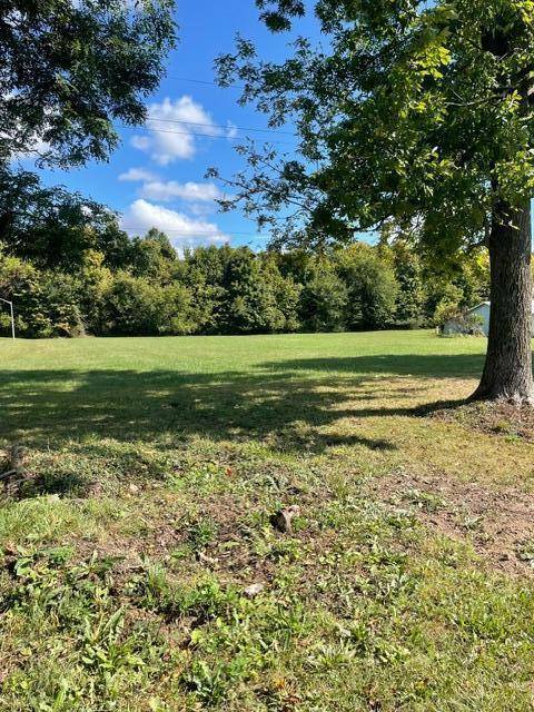 Arlington Twp, MI 49064,V/L CR 215