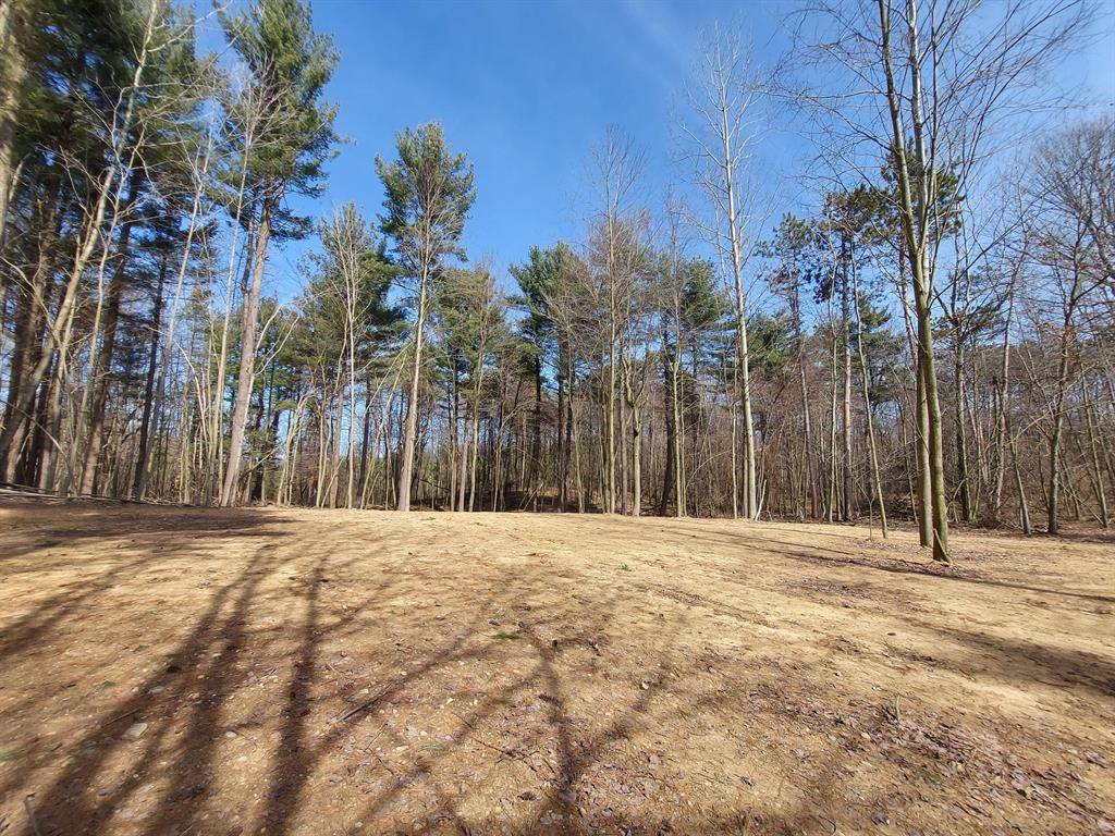 Pine Grove Twp, MI 49055,25500 Cherry Hill Lane