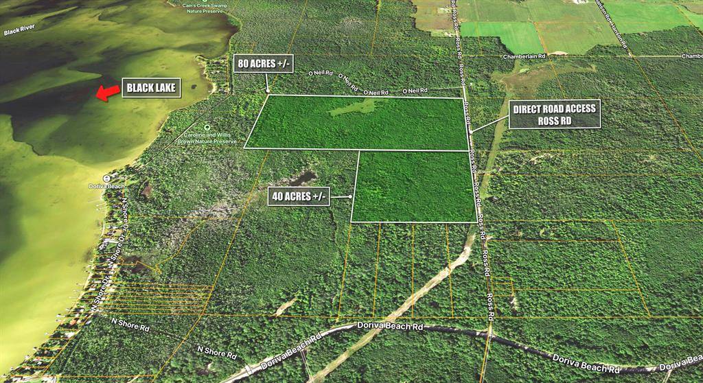 Grant Twp, MI 49721,v/l Ross