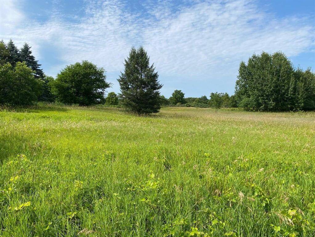Lee Twp, MI 49056,102nd Avenue Modifier: Par B