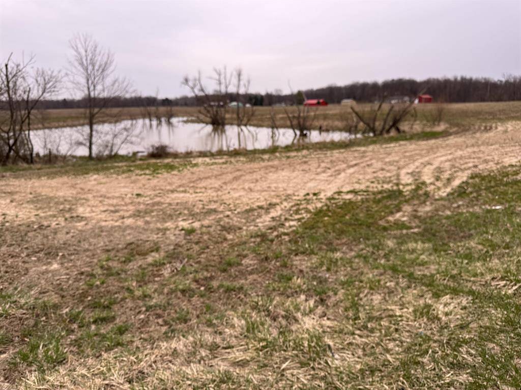 Waverly Twp, MI 49013,27401 44th Street