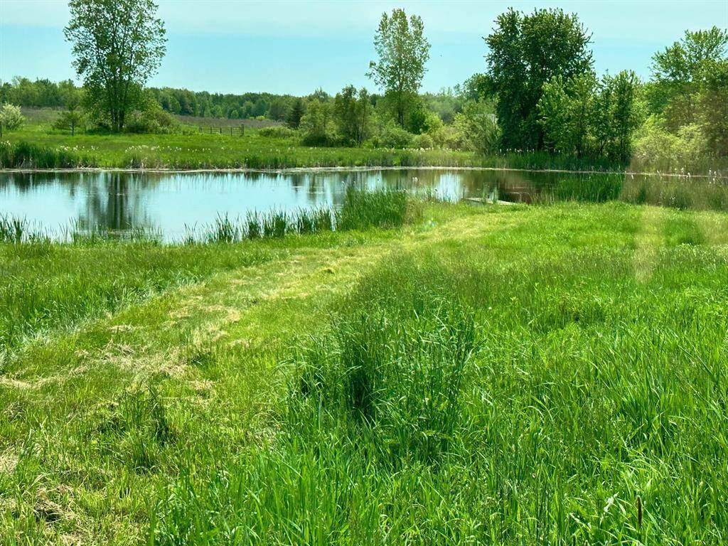 Bloomingdale Twp, MI 49055,20th Avenue