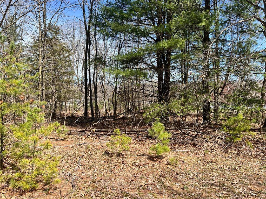 Valley Twp, MI 49010,VL Allegan Dam Road