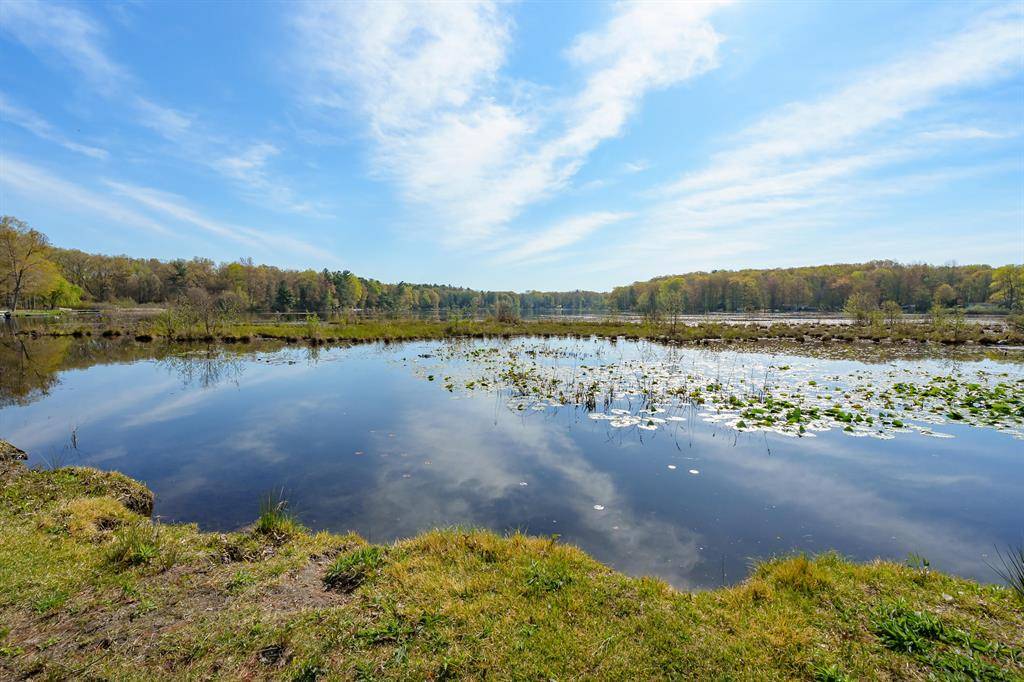 Columbia Twp, MI 49056,11131 County Road 215