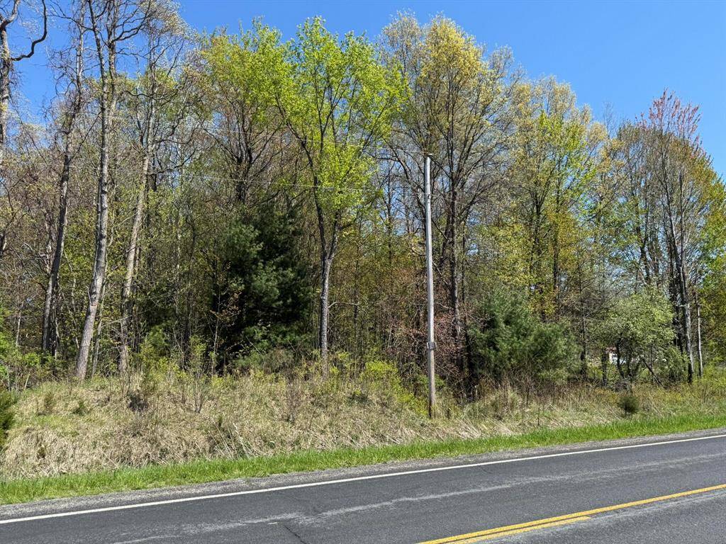 Columbia Twp, MI 49056,VL CR 681