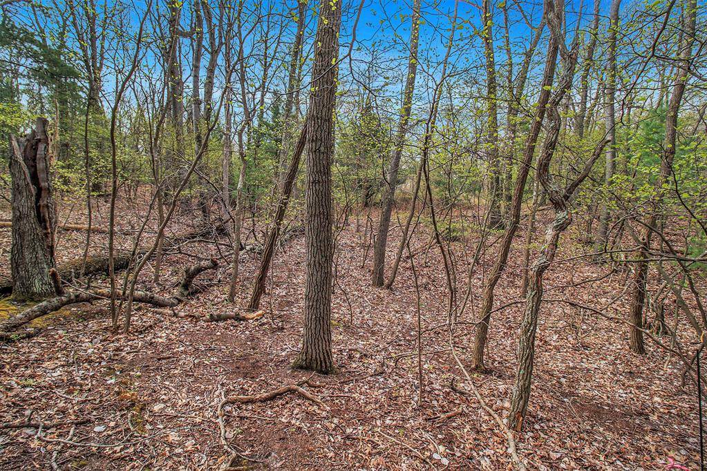 Golden Twp, MI 49436,N Silver Ridge Road