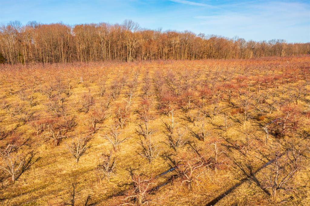 Ganges Twp, MI 49408,118th Avenue
