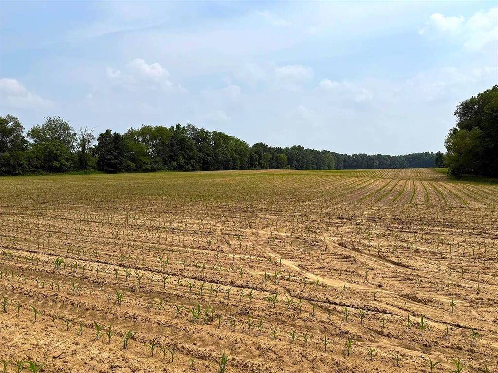Schoolcraft Twp, MI 49002,2264 E T Avenue