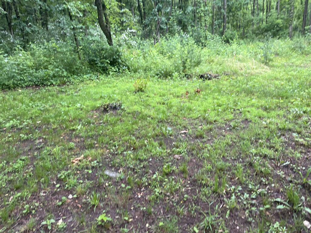 Gun Plain Twp, MI 49080,667 Pierce Road